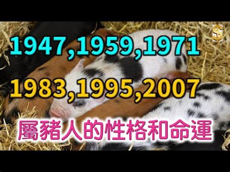 1995屬豬|【1995年 五行】1995年五行屬什麼？揭曉你的命理密碼！